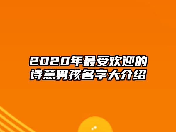 2020年最受欢迎的诗意男孩名字大介绍