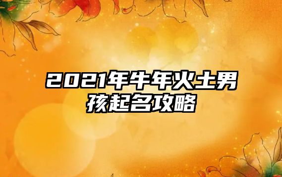 2021年牛年火土男孩起名攻略