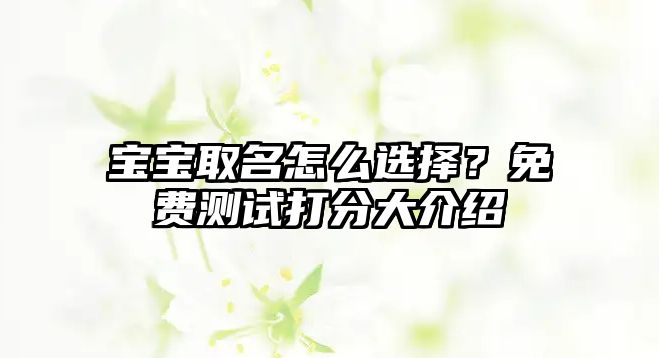 宝宝取名怎么选择？免费测试打分大介绍