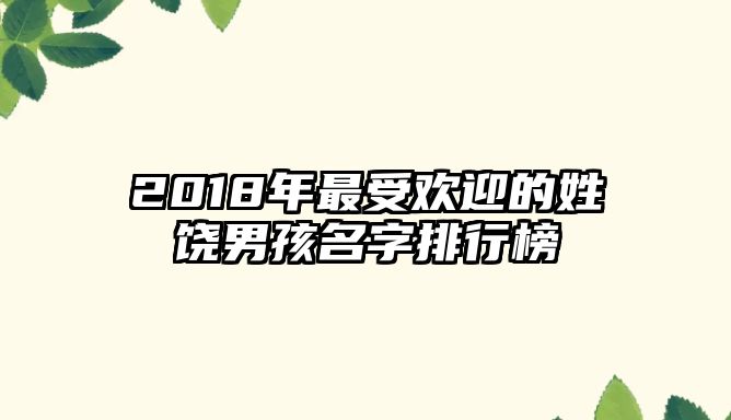 2018年最受欢迎的姓饶男孩名字排行榜