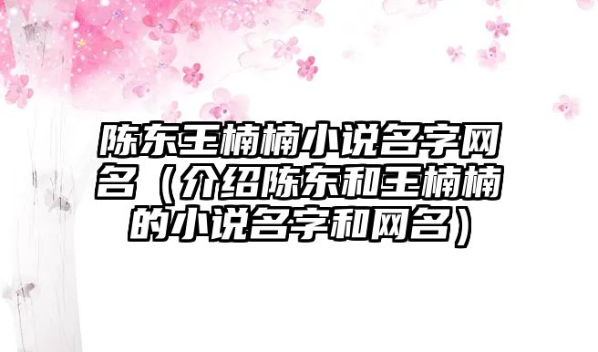 陈东王楠楠小说名字网名（介绍陈东和王楠楠的小说名字和网名）