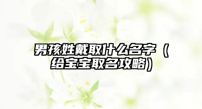 男孩姓戴取什么名字（给宝宝取名攻略）