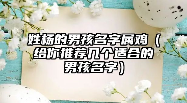 姓杨的男孩名字属鸡（给你推荐几个适合的男孩名字）