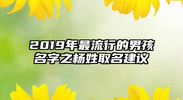 2019年最流行的男孩名字之杨姓取名建议