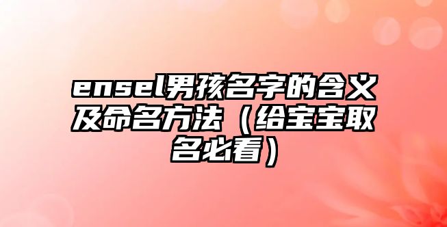 ensel男孩名字的含义及命名方法（给宝宝取名必看）