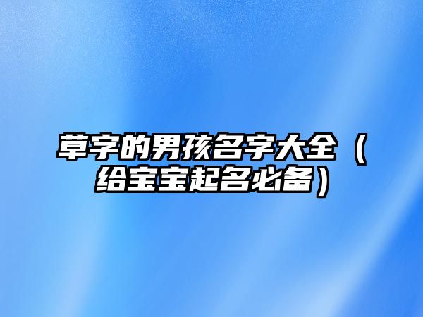 草字的男孩名字大全（给宝宝起名必备）