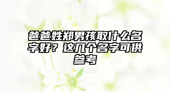 爸爸姓郑男孩取什么名字好？这几个名字可供参考