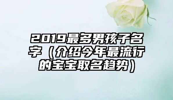 2019最多男孩子名字（介绍今年最流行的宝宝取名趋势）