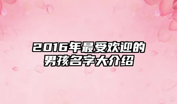 2016年最受欢迎的男孩名字大介绍