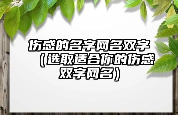 伤感的名字网名双字（选取适合你的伤感双字网名）