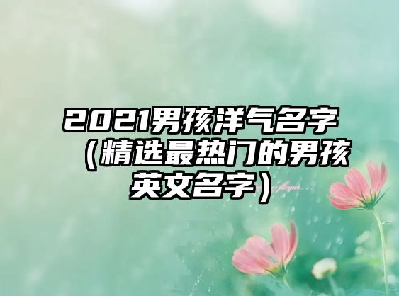 2021男孩洋气名字（精选最热门的男孩英文名字）