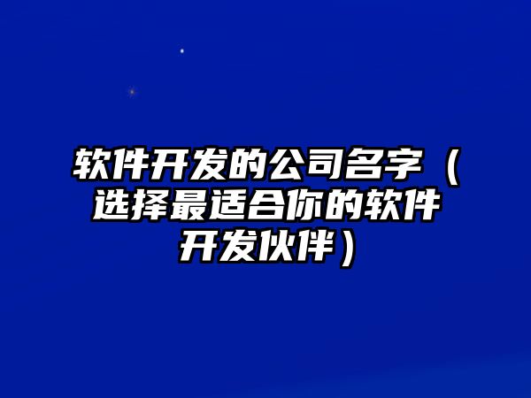 软件开发的公司名字（选择最适合你的软件开发伙伴）