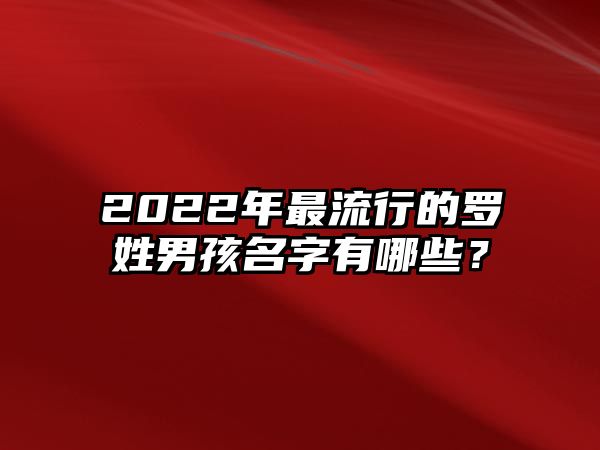 2022年最流行的罗姓男孩名字有哪些？