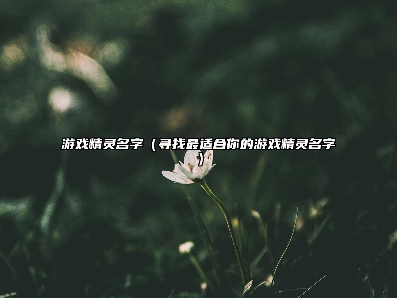 游戏精灵名字（寻找最适合你的游戏精灵名字）