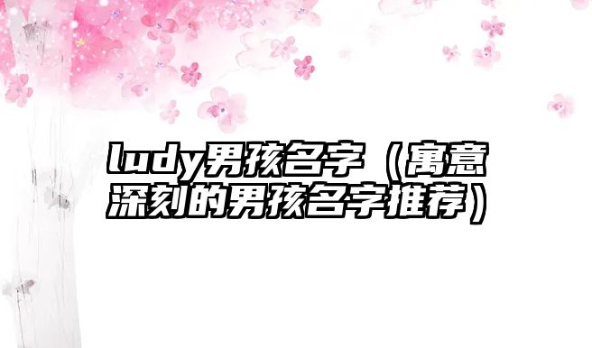 ludy男孩名字（寓意深刻的男孩名字推荐）