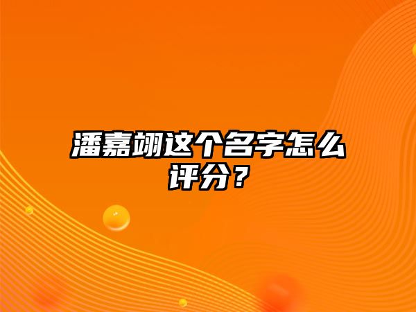 潘嘉翊这个名字怎么评分？