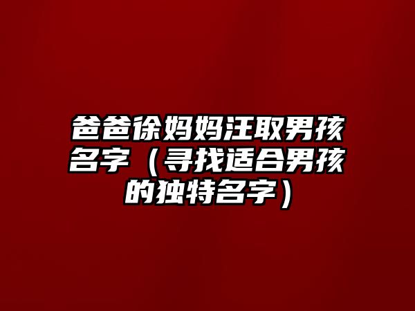 爸爸徐妈妈汪取男孩名字（寻找适合男孩的独特名字）