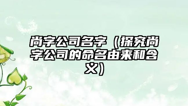 尚字公司名字（探究尚字公司的命名由来和含义）