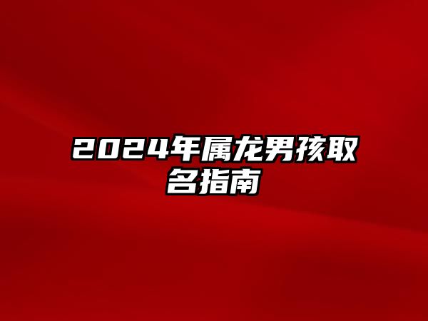 2024年属龙男孩取名指南