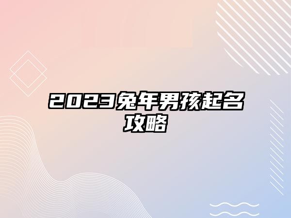 2023兔年男孩起名攻略