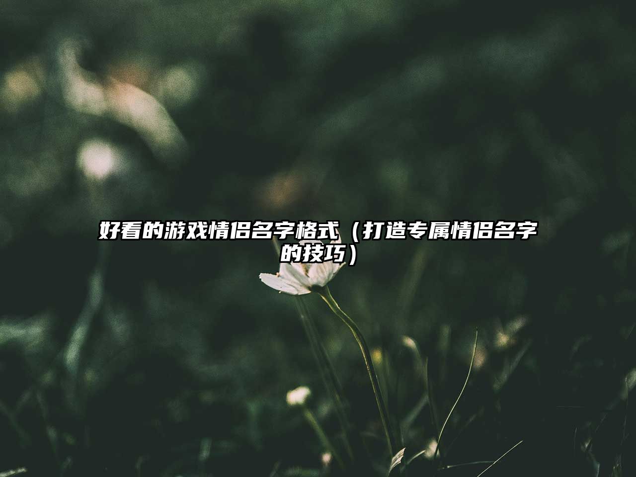 好看的游戏情侣名字格式（打造专属情侣名字的技巧）