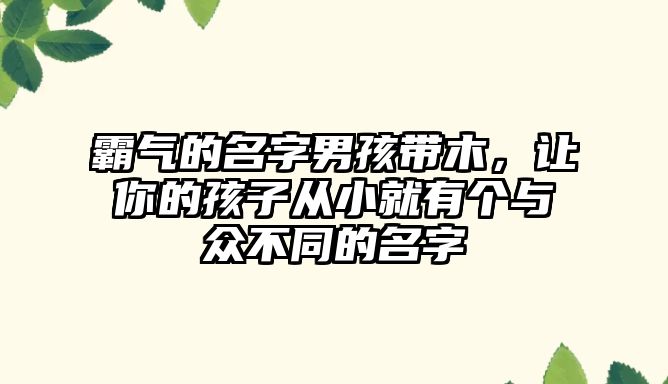 霸气的名字男孩带木，让你的孩子从小就有个与众不同的名字