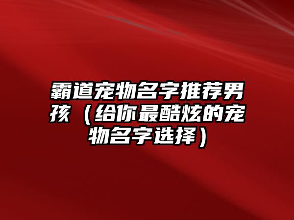 霸道宠物名字推荐男孩（给你最酷炫的宠物名字选择）