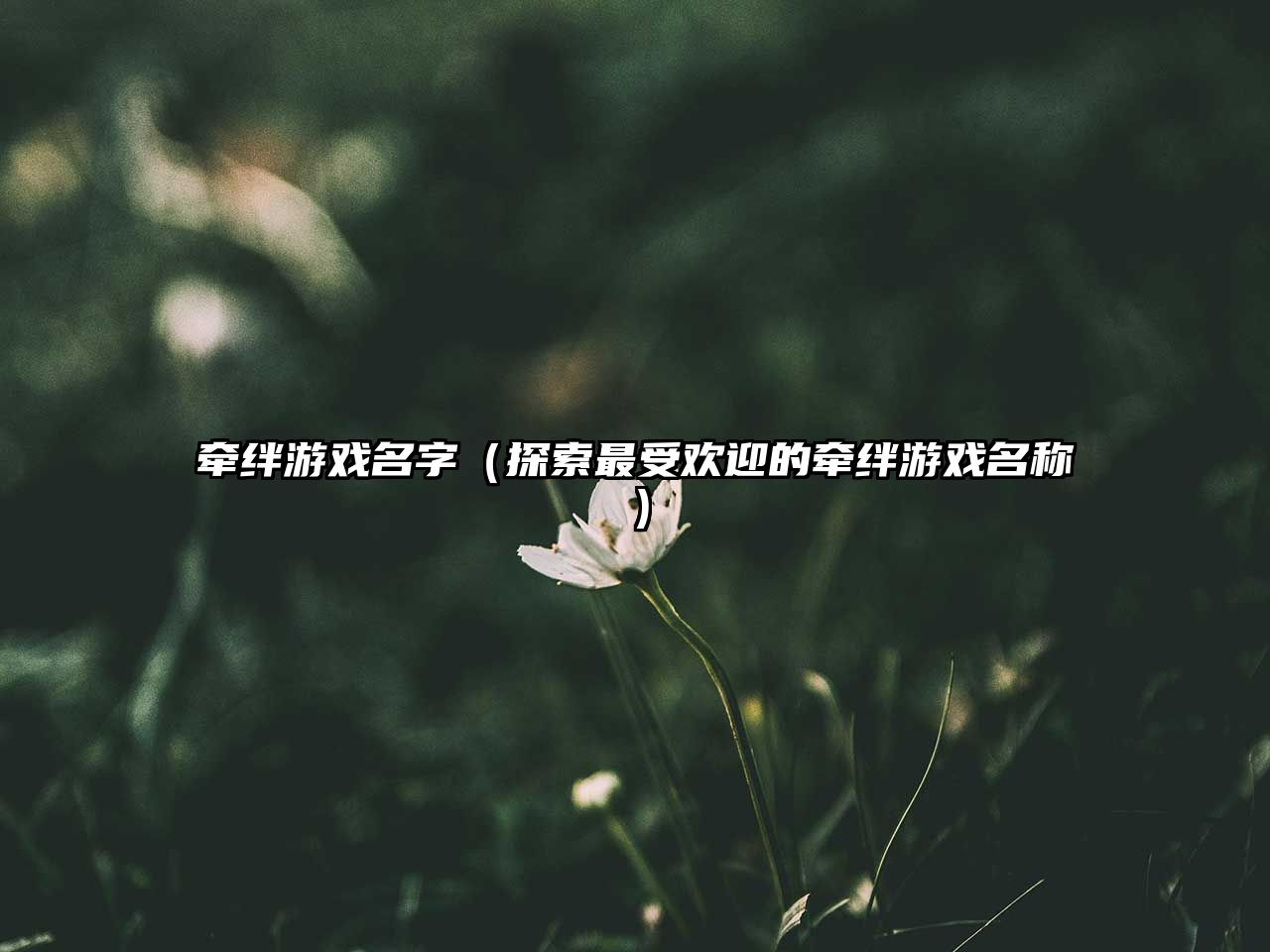 牵绊游戏名字（探索最受欢迎的牵绊游戏名称）