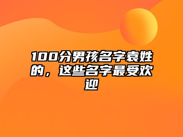 100分男孩名字袁姓的，这些名字最受欢迎