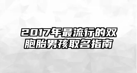 2017年最流行的双胞胎男孩取名指南