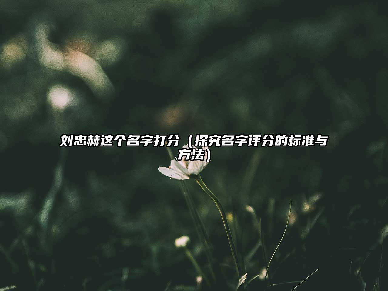 刘忠赫这个名字打分（探究名字评分的标准与方法）