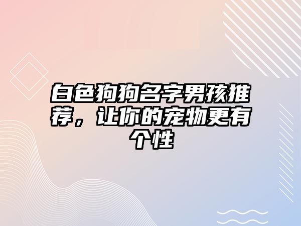 白色狗狗名字男孩推荐，让你的宠物更有个性