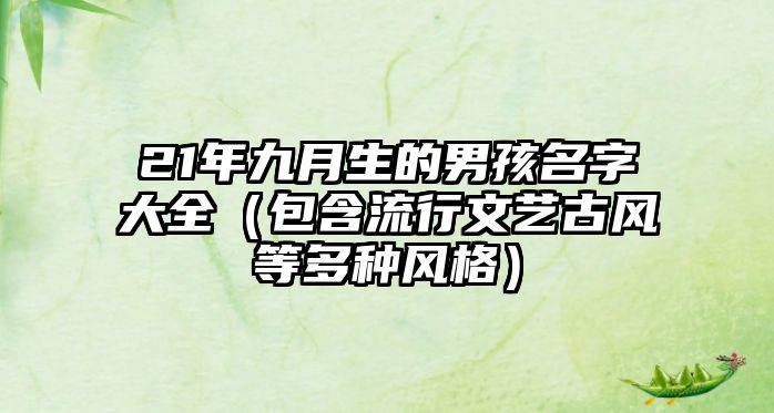 21年九月生的男孩名字大全（包含流行文艺古风等多种风格）