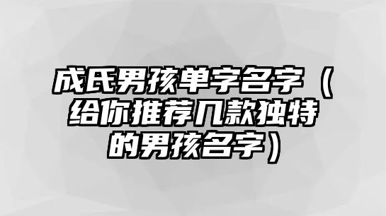 成氏男孩单字名字（给你推荐几款独特的男孩名字）