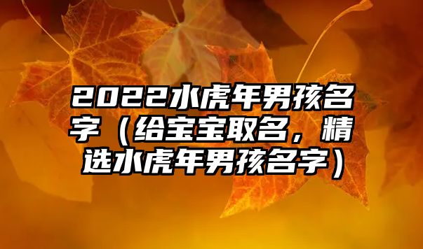 2022水虎年男孩名字（给宝宝取名，精选水虎年男孩名字）