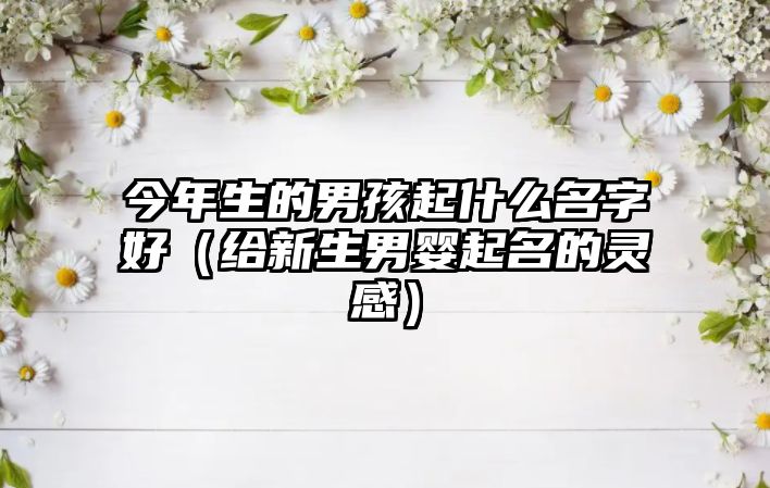 今年生的男孩起什么名字好（给新生男婴起名的灵感）