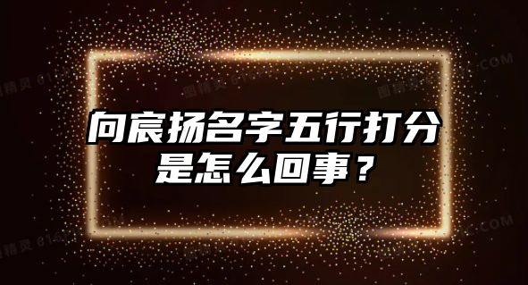 向宸扬名字五行打分是怎么回事？