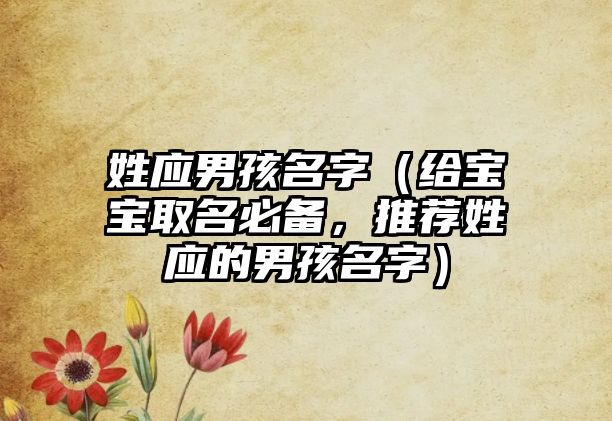 姓应男孩名字（给宝宝取名必备，推荐姓应的男孩名字）