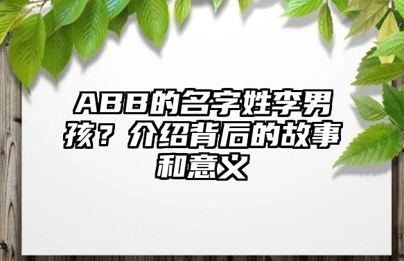 ABB的名字姓李男孩？介绍背后的故事和意义