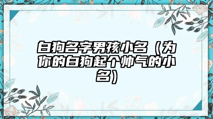 白狗名字男孩小名（为你的白狗起个帅气的小名）