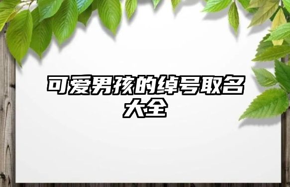 可爱男孩的绰号取名大全