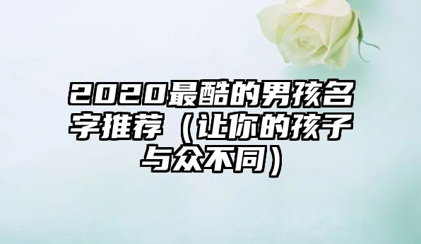 2020最酷的男孩名字推荐（让你的孩子与众不同）