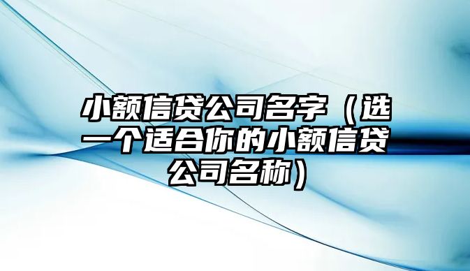 小额信贷公司名字（选一个适合你的小额信贷公司名称）