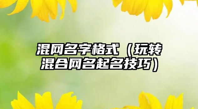 混网名字格式（玩转混合网名起名技巧）