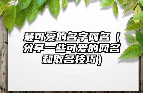 最可爱的名字网名（分享一些可爱的网名和取名技巧）