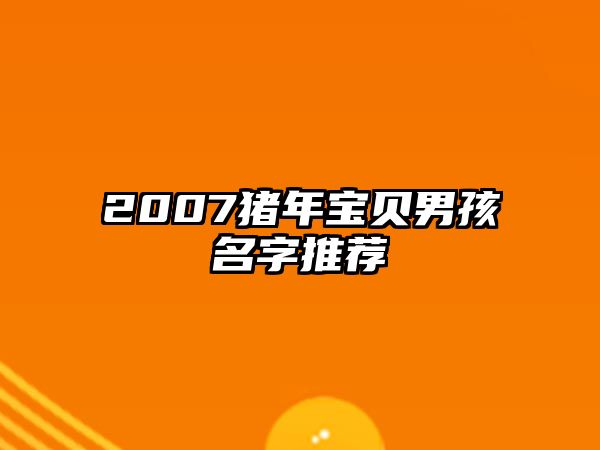 2007猪年宝贝男孩名字推荐