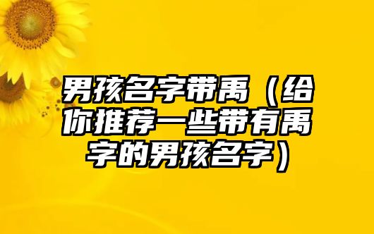 男孩名字带禹（给你推荐一些带有禹字的男孩名字）