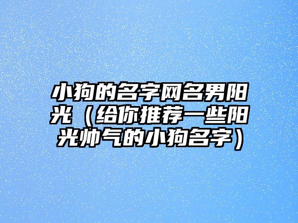 小狗的名字网名男阳光（给你推荐一些阳光帅气的小狗名字）