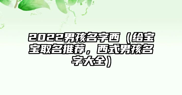 2022男孩名字西（给宝宝取名推荐，西式男孩名字大全）