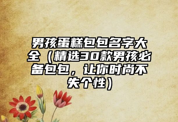 男孩蛋糕包包名字大全（精选30款男孩必备包包，让你时尚不失个性）